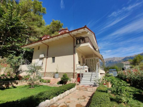 Villa Vasil Mertiri